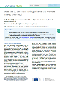 Does the EU Emission Trading Scheme ETS Promote Energy Efficiency?
